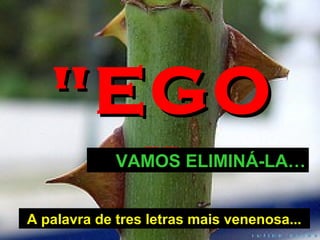 "EGO
"

VAMOS ELIMINÁ-LA…

A palavra de tres letras mais venenosa...

 