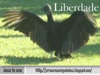 Liberdade




Jesus te ama   http://prrsoaresamigodedeus.blogspot.com/
 