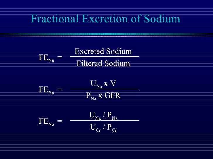 10 Palevsky Acute Renal Failure