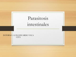 Parasitosis
intestinales
INTERNO : LUIS EDUARDO VACA
CITA
 