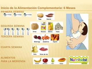Inicio de la Alimentación Complementaria: 6 Meses
PRIMERA SEMANA
SEGUNDA SEMANA
TERCERA SEMANA
CUARTA SEMANA
ALIMENTOS
PARA LA MERIENDA
 