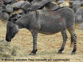 5: Misture, hibridize. Faça inovação por combinação!
Imagem do livro “Homo evolutis”
(TED Books)
 