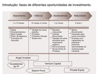 Introdução: fases de diferentes oportunidades de investimento.
 