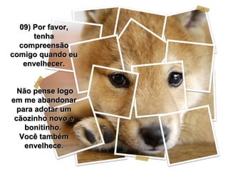 09) Por favor,
      tenha
  compreensão
comigo quando eu
   envelhecer.


  Não pense logo
em me abandonar
  para adotar um
 cãozinho novo e
    bonitinho.
   Você também
    envelhece.
 
