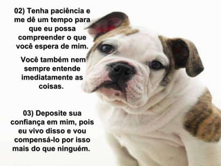02) Tenha paciência e me dê um tempo para que eu possa compreender o que você espera de mim. Você também nem sempre entende imediatamente as coisas.  03) Deposite sua confiança em mim, pois eu vivo disso e vou compensá-lo por isso mais do que ninguém.  