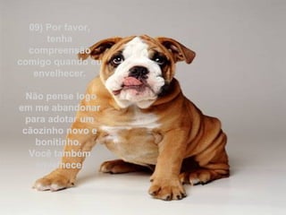 09) Por favor,
      tenha
  compreensão
comigo quando eu
   envelhecer.

  Não pense logo
em me abandonar
  para adotar um
 cãozinho novo e
    bonitinho.
   Você também
    envelhece.
 