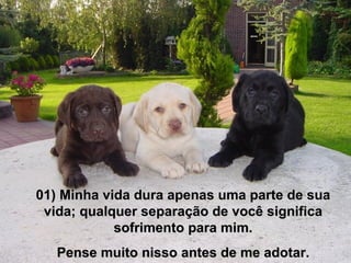 01) Minha vida dura apenas uma parte de sua
 vida; qualquer separação de você significa
            sofrimento para mim.
   Pense muito nisso antes de me adotar.
 