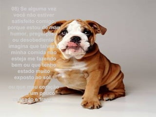 08) Se alguma vez você não estiver satisfeito comigo, porque estou de mau humor, preguiçoso ou desobediente, imagina que talvez a minha comida não esteja me fazendo bem ou que tenho estado muito exposto ao sol,  ou que meu coração já está um pouco cansado e fraco.  