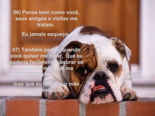 06) Pense bem como você, seus amigos e visitas me tratam.  Eu jamais esqueço.  07) Também pense, quando você quiser me bater,  que eu poderia facilmente quebrar os ossos da mão que me machuca,  mas que eu não lanço mão deste recurso.  