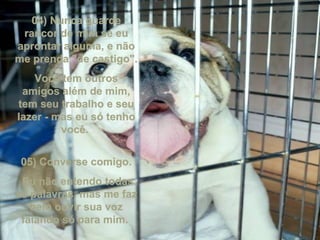 04) Nunca guarde rancor de mim se eu aprontar alguma, e não me prenda "de castigo". Você tem outros amigos além de mim, tem seu trabalho e seu lazer - mas eu só tenho você.  05) Converse comigo. Eu não entendo todas as palavras, mas me faz bem ouvir sua voz falando só para mim.  