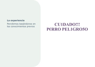 10. La Percepción Visual