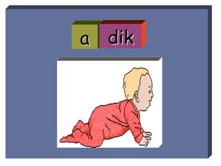 a dik 