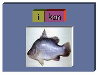 i kan 