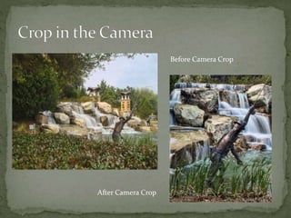 Before Camera Crop
After Camera Crop
 