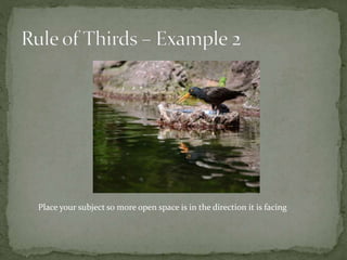 Place your subject so more open space is in the direction it is facing
 
