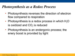 Photosynthesis as a Redox Process
     • Photosynthesis reverses the direction of electron
       flow compared to respiration
     • Photosynthesis is a redox process in which H2O
       is oxidized and CO2 is reduced
     • Photosynthesis is an endergonic process; the
       enery boost is provided by light




© 2011 Pearson Education, Inc.
 