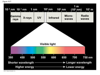 Figure 10.7


                                                                1m
  10−5 nm 10−3 nm       1 nm        10 nm
                                      3
                                                  106 nm      (109 nm)    103 m

          Gamma                                        Micro-        Radio
                X-rays         UV         Infrared     waves         waves
           rays




                                Visible light



       380       450    500     550         600      650       700       750 nm
       Shorter wavelength                                  Longer wavelength
              Higher energy                                Lower energy
 