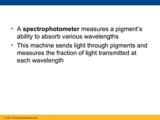 • A spectrophotometer measures a pigment’s
       ability to absorb various wavelengths
     • This machine sends light through pigments and
       measures the fraction of light transmitted at
       each wavelength




© 2011 Pearson Education, Inc.
 