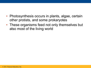 • Photosynthesis occurs in plants, algae, certain
       other protists, and some prokaryotes
     • These organisms feed not only themselves but
       also most of the living world




© 2011 Pearson Education, Inc.
 