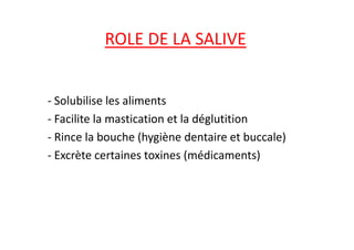 ROLE DE LA SALIVE
- Solubilise les aliments
- Facilite la mastication et la déglutition
- Facilite la mastication et la déglutition
- Rince la bouche (hygiène dentaire et buccale)
- Excrète certaines toxines (médicaments)
 