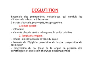 DEGLUTITION
Ensemble des phénomènes mécaniques qui conduit les
aliments de la bouche à l’estomac.
3 étapes : buccale, pharyngée, œsophagienne.
1.Temps buccal :
- volontaire
- aliments plaqués contre la langue et la voûte palatine
- aliments plaqués contre la langue et la voûte palatine
2. Temps pharyngien :
- réflexe : en contact avec le voile du palais
- bascule de l’épiglote ,ascension du larynx :suspension de
respiration
- progression du bol (base de la langue ,la pression des
constricteurs et aspiration pharyngo-oesophagienne)
 
