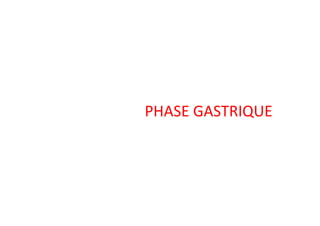 PHASE GASTRIQUE
PHASE GASTRIQUE
 