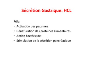Sécrétion Gastrique: HCL
Rôle:
• Activation des pepsines
• Dénaturation des protéines alimentaires
• Action bactéricide
• Stimulation de la sécrétion pancréatique
 