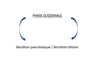 PHASE DUODENALE
Sécrétion pancréatique / Sécrétion biliaire
 