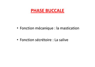PHASE BUCCALE
• Fonction mécanique : la mastication
• Fonction sécrétoire : La salive
 