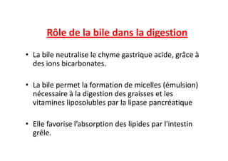 Rôle de la bile dans la digestion
• La bile neutralise le chyme gastrique acide, grâce à
des ions bicarbonates.
• La bile permet la formation de micelles (émulsion)
• La bile permet la formation de micelles (émulsion)
nécessaire à la digestion des graisses et les
vitamines liposolubles par la lipase pancréatique
• Elle favorise l’absorption des lipides par l'intestin
grêle.
 