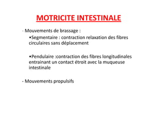 MOTRICITE INTESTINALE
- Mouvements de brassage :
•Segmentaire : contraction relaxation des fibres
circulaires sans déplacement
•Pendulaire :contraction des fibres longitudinales
•Pendulaire :contraction des fibres longitudinales
entrainant un contact étroit avec la muqueuse
intestinale
- Mouvements propulsifs
 