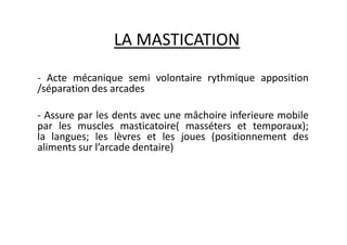 LA MASTICATION
- Acte mécanique semi volontaire rythmique apposition
/séparation des arcades
- Assure par les dents avec une mâchoire inferieure mobile
par les muscles masticatoire( masséters et temporaux);
par les muscles masticatoire( masséters et temporaux);
la langues; les lèvres et les joues (positionnement des
aliments sur l’arcade dentaire)
 