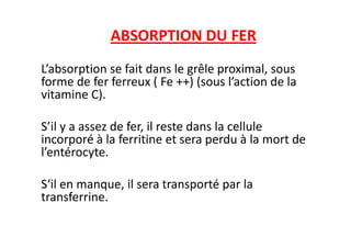 ABSORPTION DU FER
L’absorption se fait dans le grêle proximal, sous
forme de fer ferreux ( Fe ++) (sous l’action de la
vitamine C).
S’il y a assez de fer, il reste dans la cellule
S’il y a assez de fer, il reste dans la cellule
incorporé à la ferritine et sera perdu à la mort de
l’entérocyte.
S‘il en manque, il sera transporté par la
transferrine.
 