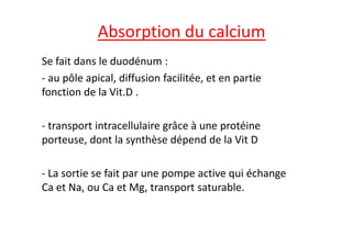 Absorption du calcium
Se fait dans le duodénum :
- au pôle apical, diffusion facilitée, et en partie
fonction de la Vit.D .
- transport intracellulaire grâce à une protéine
- transport intracellulaire grâce à une protéine
porteuse, dont la synthèse dépend de la Vit D
- La sortie se fait par une pompe active qui échange
Ca et Na, ou Ca et Mg, transport saturable.
 