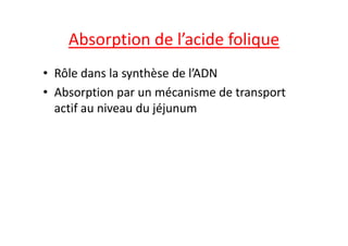 Absorption de l’acide folique
• Rôle dans la synthèse de l’ADN
• Absorption par un mécanisme de transport
actif au niveau du jéjunum
 