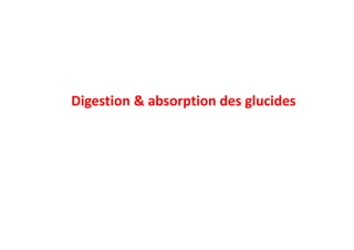 Digestion & absorption des glucides
 