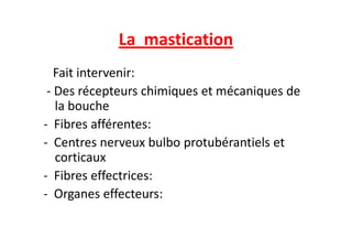 La mastication
Fait intervenir:
- Des récepteurs chimiques et mécaniques de
la bouche
- Fibres afférentes:
- Fibres afférentes:
- Centres nerveux bulbo protubérantiels et
corticaux
- Fibres effectrices:
- Organes effecteurs:
 