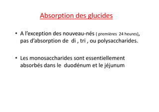 Absorption des glucides
• A l’exception des nouveau-nés ( premières 24 heures),
pas d’absorption de di , tri , ou polysaccharides.
• Les monosaccharides sont essentiellement
• Les monosaccharides sont essentiellement
absorbés dans le duodénum et le jéjunum
 