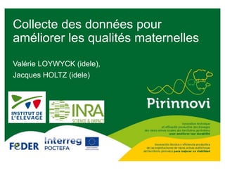 Collecte des données pour
améliorer les qualités maternelles
Valérie LOYWYCK (idele),
Jacques HOLTZ (idele)
 