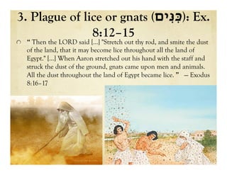 3. Plague of lice or gnats ( ‫כ‬ִּ‫נ‬ִּ‫ים‬ ): Ex.
8:12–15
!   “ Then the LORD said […] "Stretch out thy rod, and smite the dust
of the land, that it may become lice throughout all the land of
Egypt." […] When Aaron stretched out his hand with the staff and
struck the dust of the ground, gnats came upon men and animals.
All the dust throughout the land of Egypt became lice. ” — Exodus
8:16–17
 