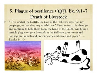 5. Plague of pestilence ( ‫ד‬ֶּ‫ֶר‬‫ב‬ ): Ex. 9:1–7
Death of Livestock
!   “ This is what the LORD, the God of the Hebrews, says: "Let my
people go, so that they may worship me." If you refuse to let them go
and continue to hold them back, the hand of the LORD will bring a
terrible plague on your livestock in the field—on your horses and
donkeys and camels and on your cattle and sheep and goats. ” —
Exodus 9:1–3
 