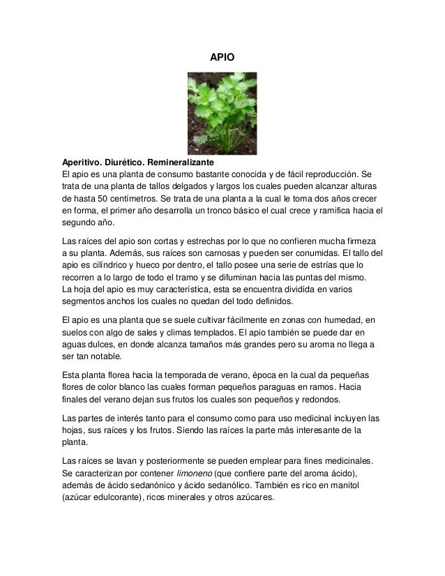 10 Plantas Medicinales