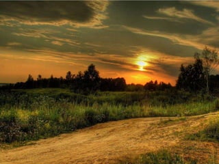 Epílogo - a sepultura de Jesus
(Jo 19, 38-42).
 