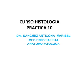 CURSO HISTOLOGIA
PRACTICA 10
Dra. SANCHEZ ANTICONA MARIBEL
MED.ESPECIALISTA
ANATOMOPATOLOGA
 