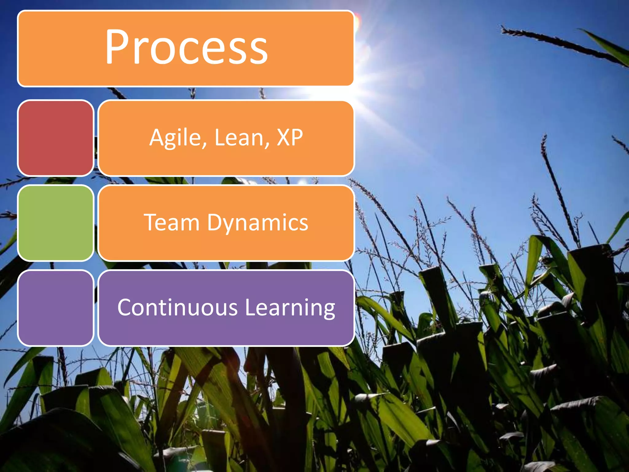 ProcessAgile, Lean, XPTeam DynamicsContinuous Learning