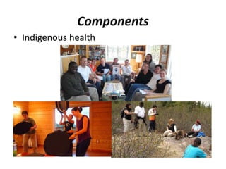 Components 
• Indigenous health 
 