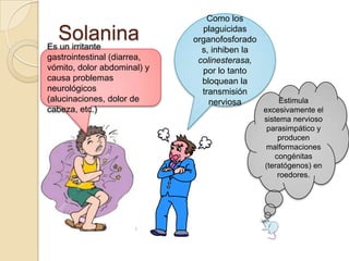 Como los

  Solanina
Es un irritante
                               plaguicidas
                             organofosfora...