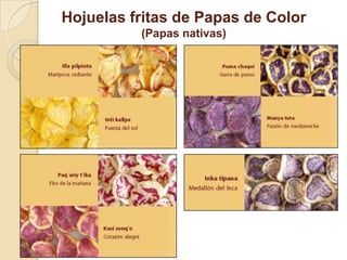 Hojuelas fritas de Papas de Color
          (Papas nativas)
 