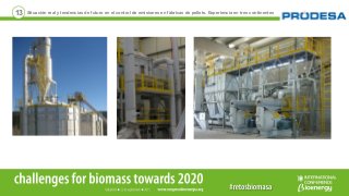 13 Situación real y tendencias de futuro en el control de emisiones en fábricas de pellets. Experiencia en tres continentes
 