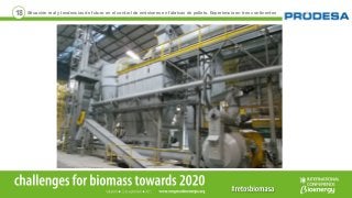 18 Situación real y tendencias de futuro en el control de emisiones en fábricas de pellets. Experiencia en tres continentes
 